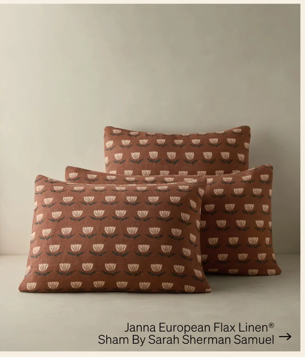 Shop Janna European Flax Linen Sham