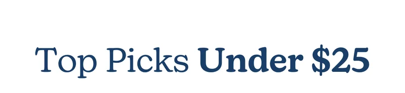 Top Picks Under $25