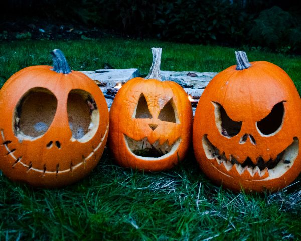 Decorations that Decompose