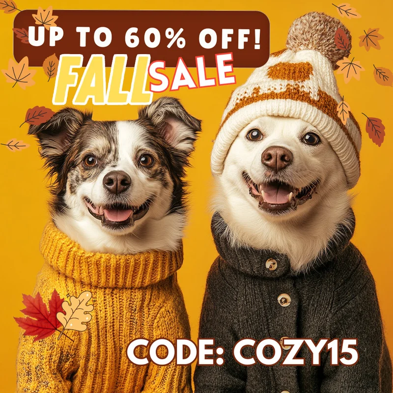Cozy Fall Sale