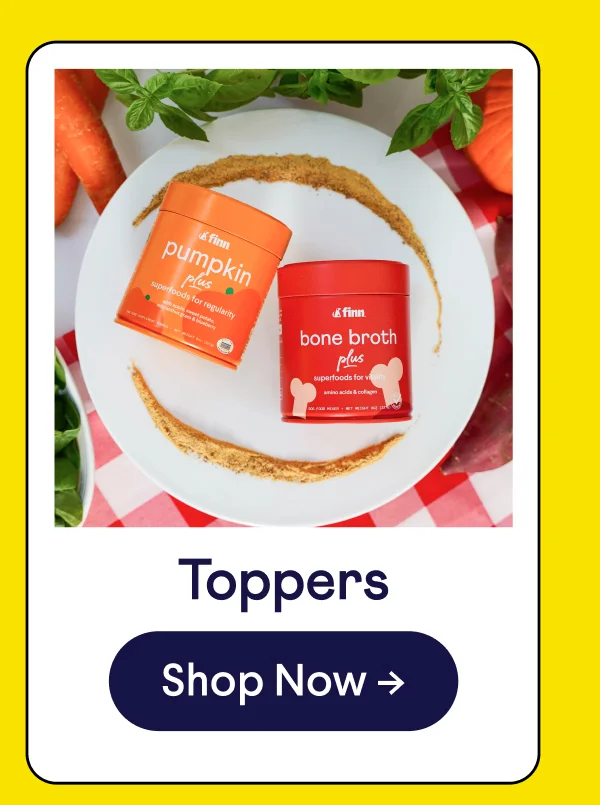 Toppers. Shop Now