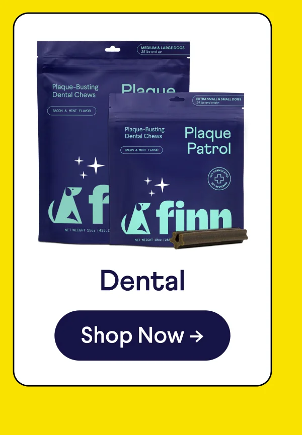 Dental. Shop Now