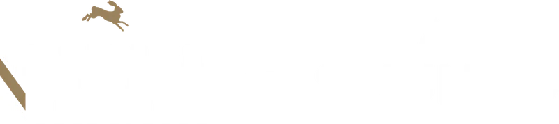 Stamata x Suunto