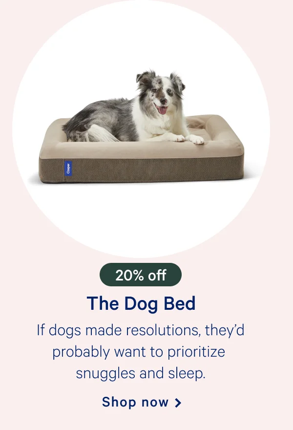The Dog Bed >> If dogs made resolutions, they’d probably want to prioritize snuggles and sleep. >> Shop now >>
