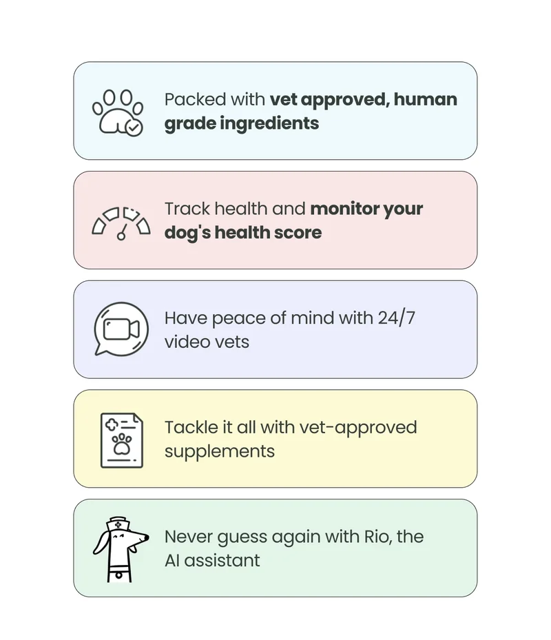 Scooch health benefits