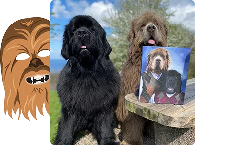 Before and After - Customer photos of their two pets with the finished pet portrait