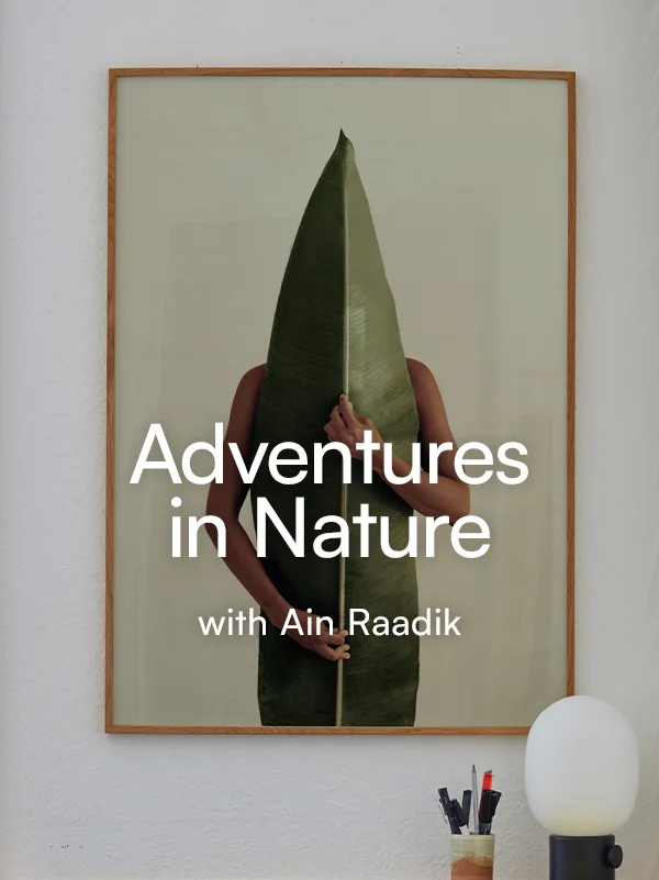 New Art by Ain Raadik
