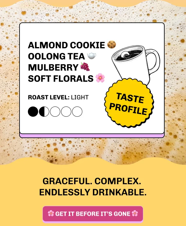 Graceful. Complex.  Endlessly drinkable. Tastes like almond cookie, oolong tea, mulberry, and soft florals.