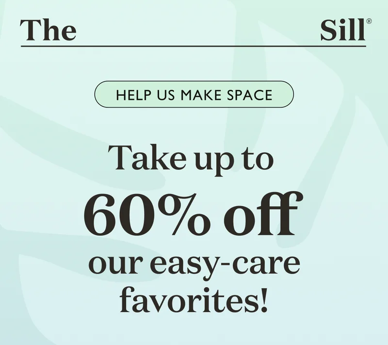 Help us make space - take up to 60% off our easy-care favorites!