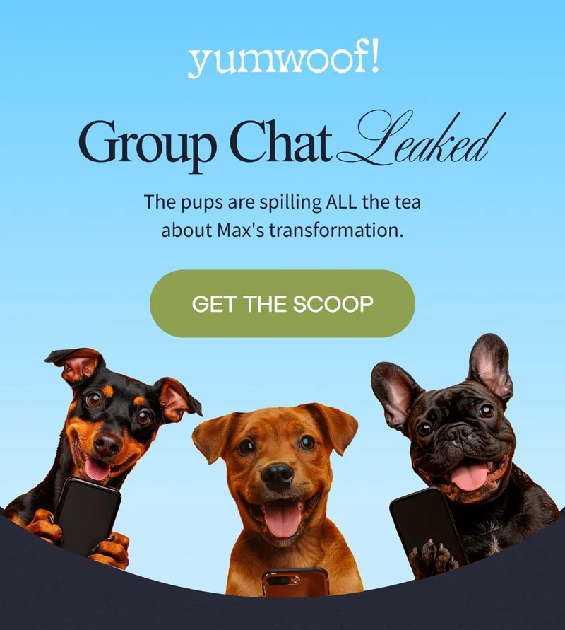 yumwoof! | Group Chat Leaked | The pups are spilling ALL the tea about Max's transformation. | GET THE SCOOP