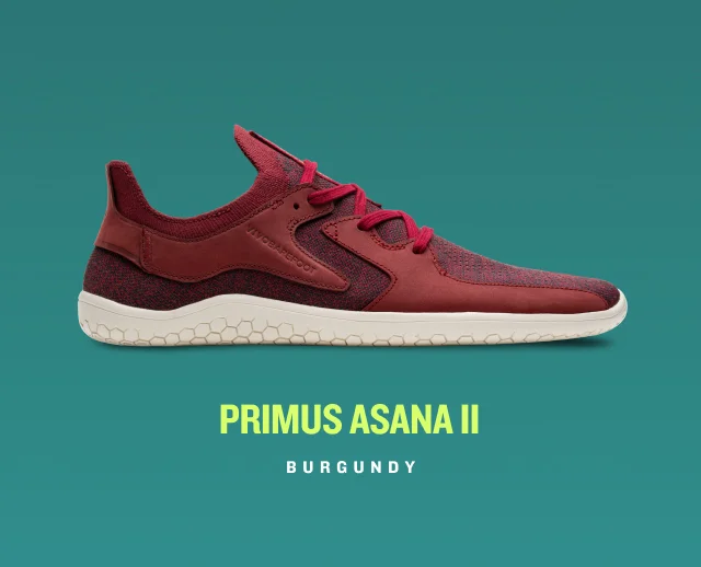 SHOP PRIMUS ASANA II