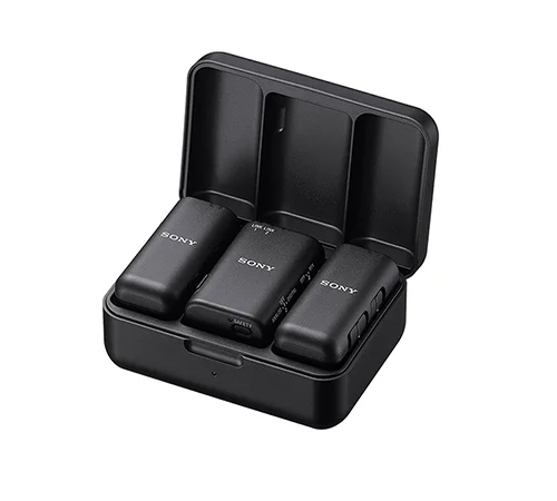 ECM-W3 Dual-Channel Wireless Microphone