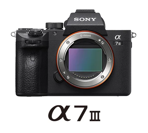 Alpha 7 III Camera