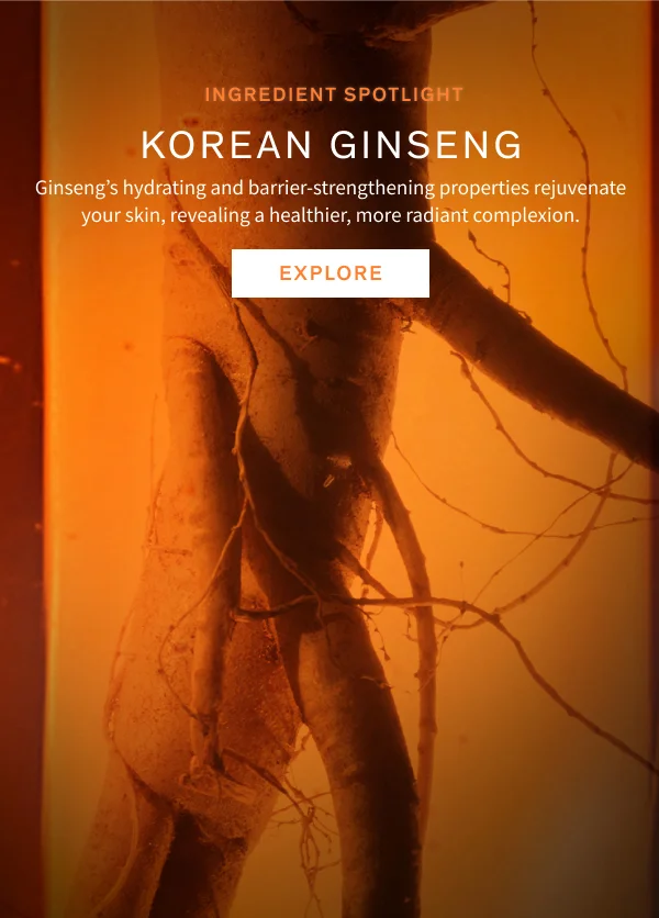 Korean Ginseng