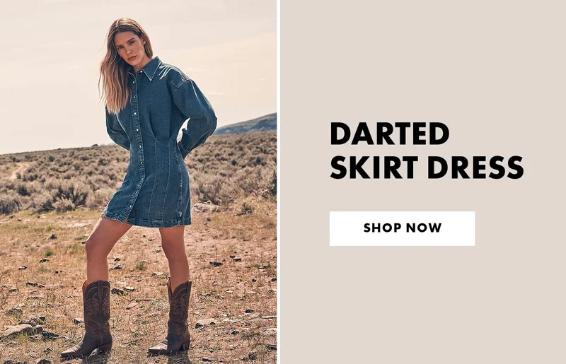 Darted skirt dress