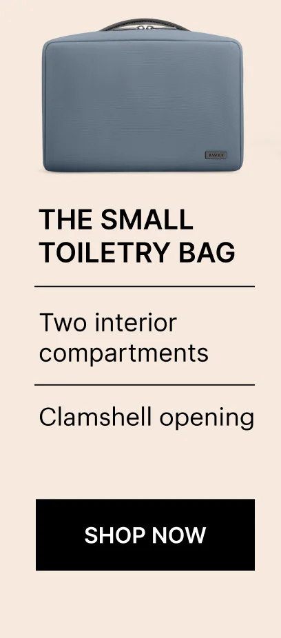 The Small Toiletry Bag