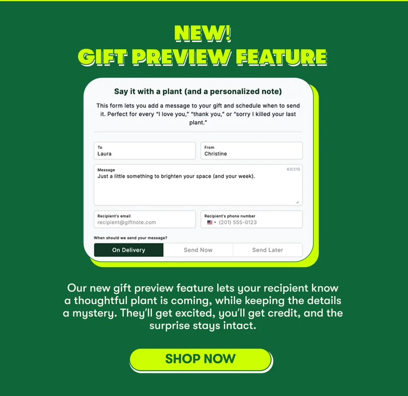 New Gift Preview Feature!