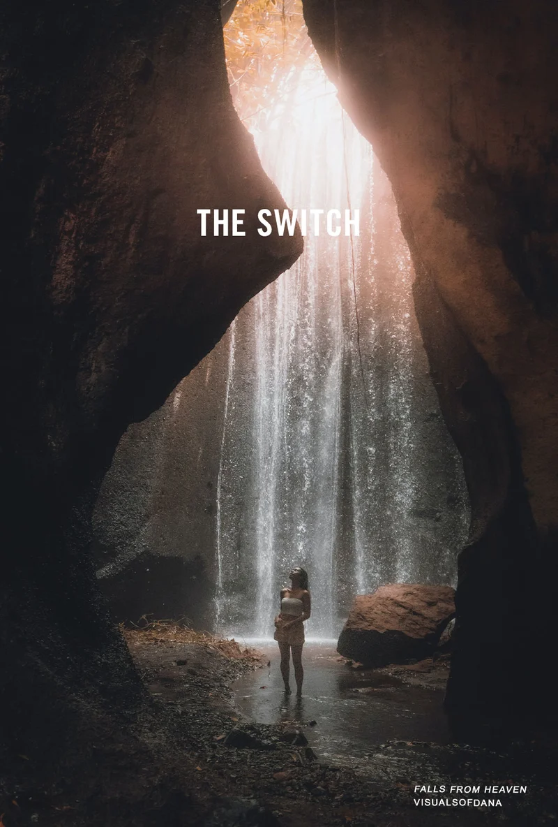 THE SWITCH