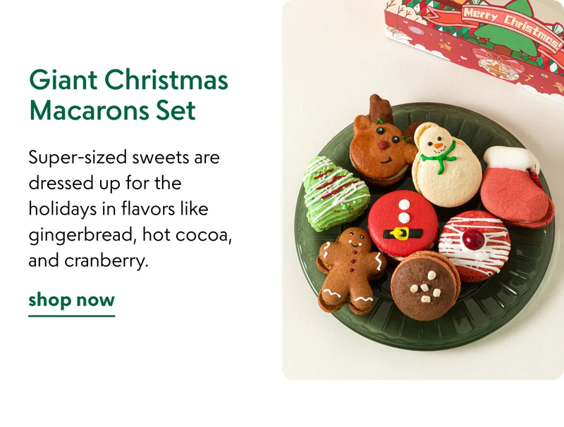 Giant Christmas Macarons Set