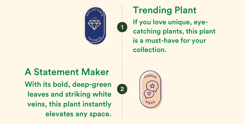 a trending statement maker