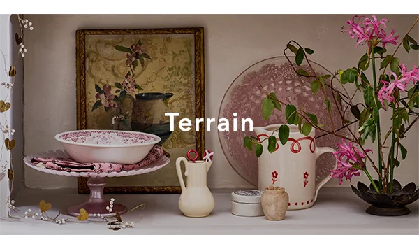 Terrain