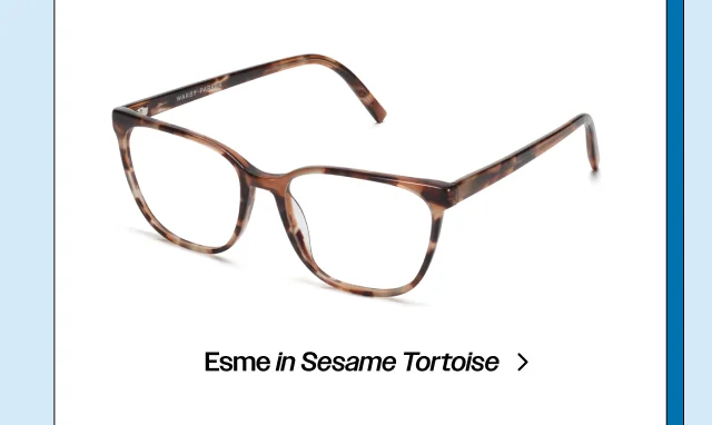 Esme in Sesame Tortoise