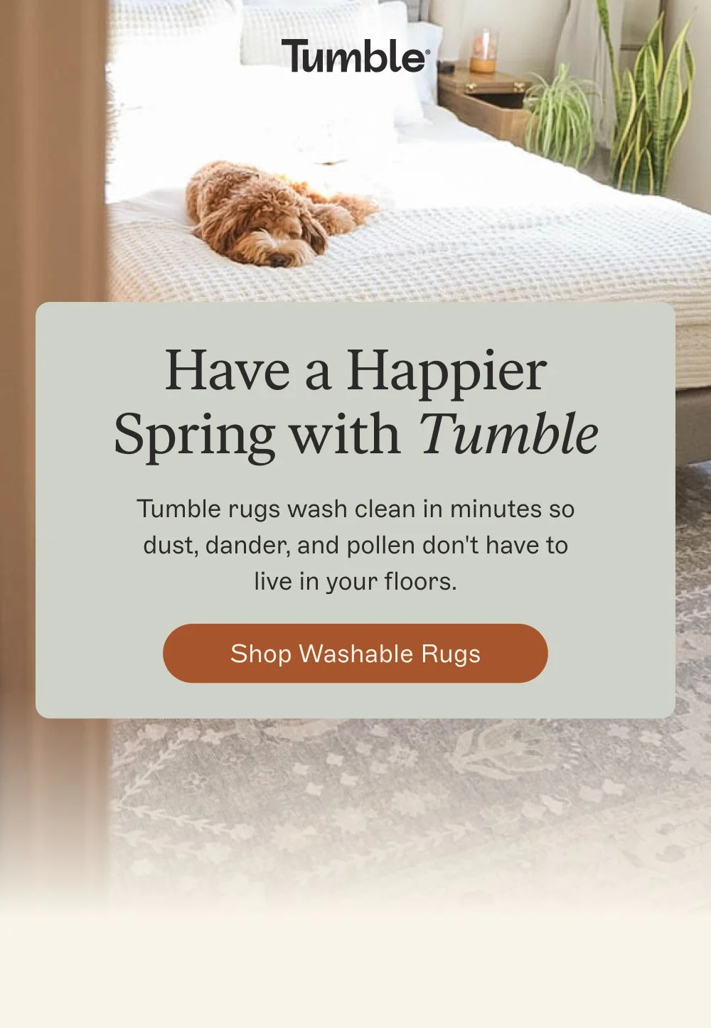 Have a Happier Spring with Tumble Tumble rugs wash clean in minutes so dust, dander, and pollen don't have to live in your floors. shop washable rugs