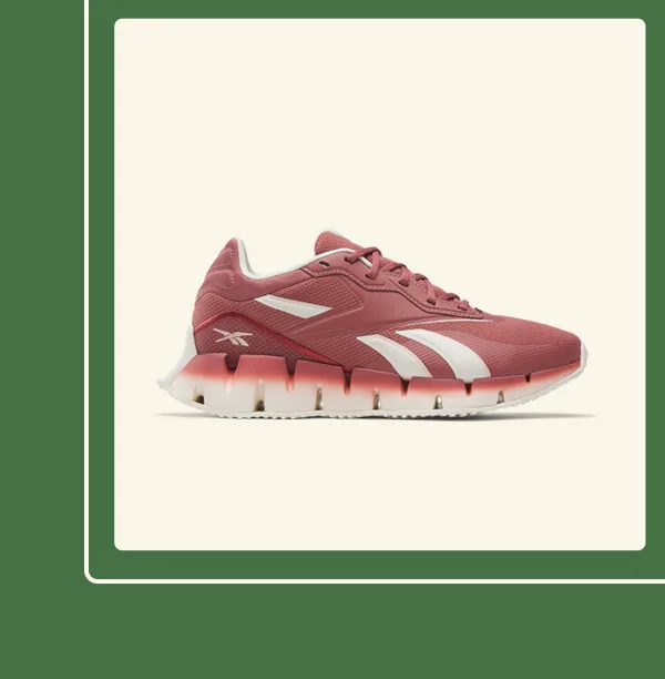 Zig Dynamica Shoes