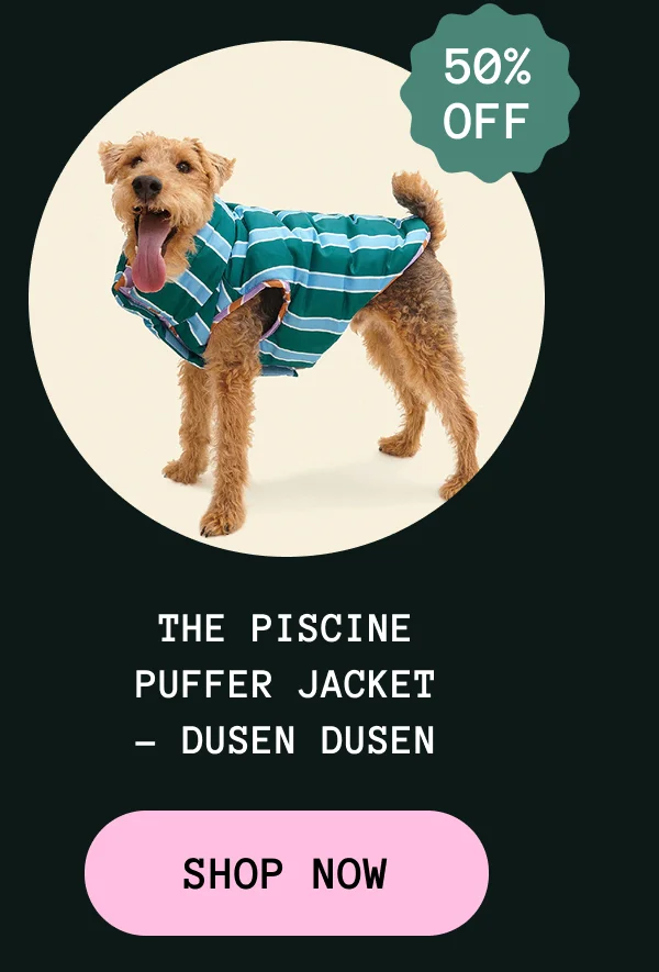 The Piscine Puffer Jacket - Dusen Dusen