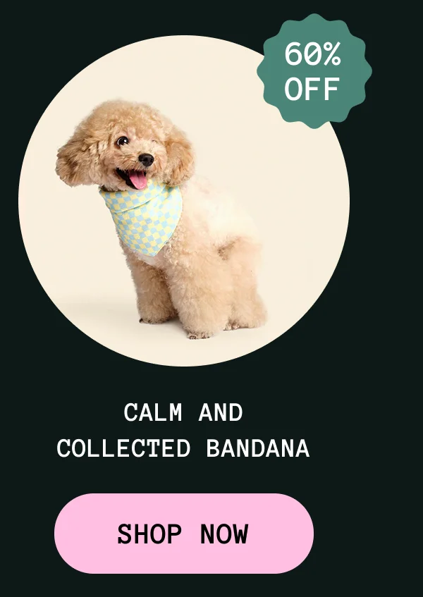 Calm and Collected Bandana