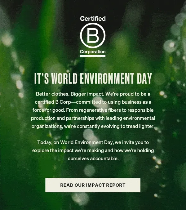 Impact Report