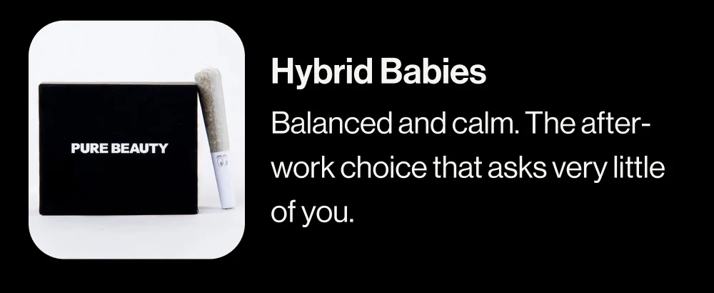 Hybrid Babies
