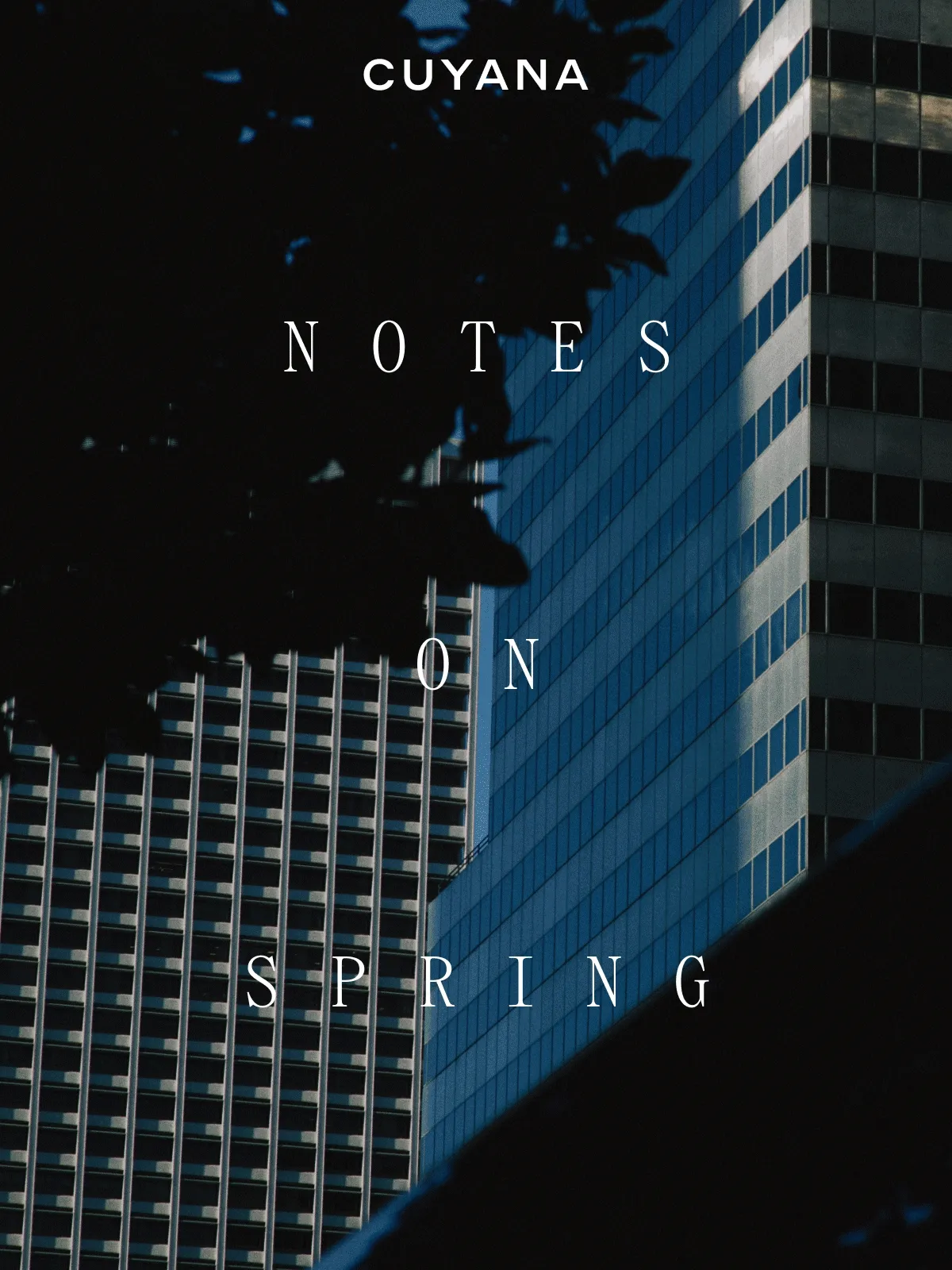 Cuyana Notes On Spring
