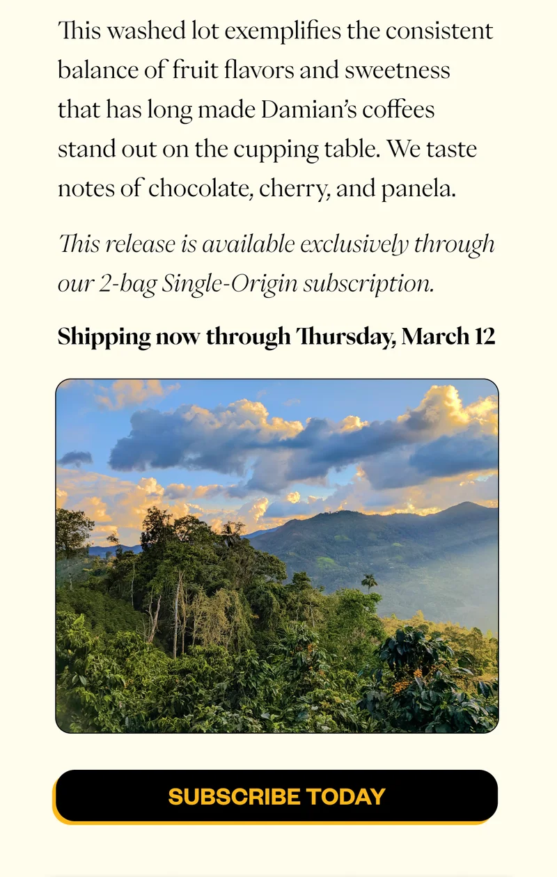 This washed lot exemplifies the consistent balance of fruit flavors and sweetness that has long made Damian’s coffees stand out on the cupping table. We taste notes of chocolate, cherry, and panela.  This release is available exclusively through our 2-bag Single-Origin subscription. Shipping now through Thursday, March 12  SUBSCRIBE TODAY