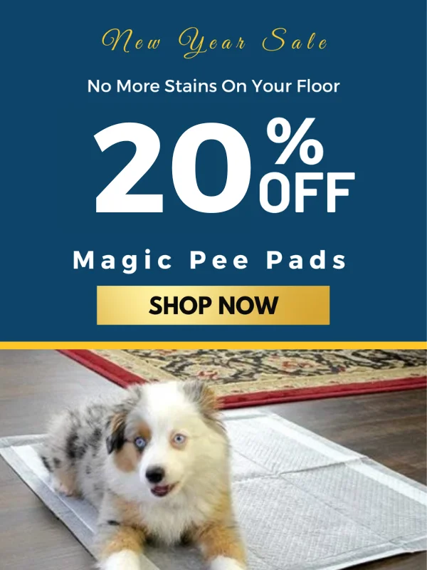 New Year Sale