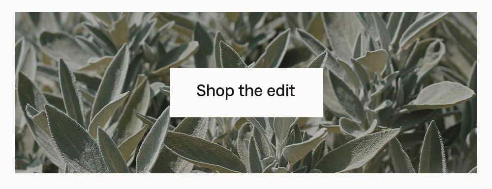 Shop the edit
