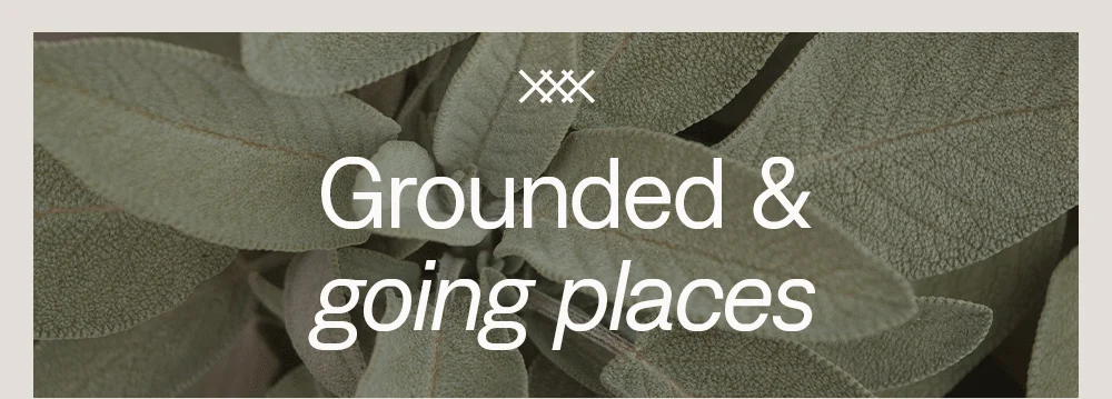 Grounded & going places