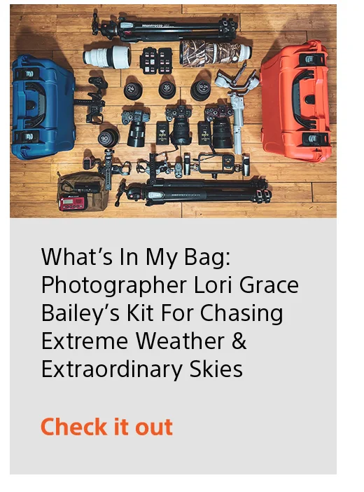 Custom Gridlines: The silent teacher for action portrait photographer Sheryl Bashore | Check it out