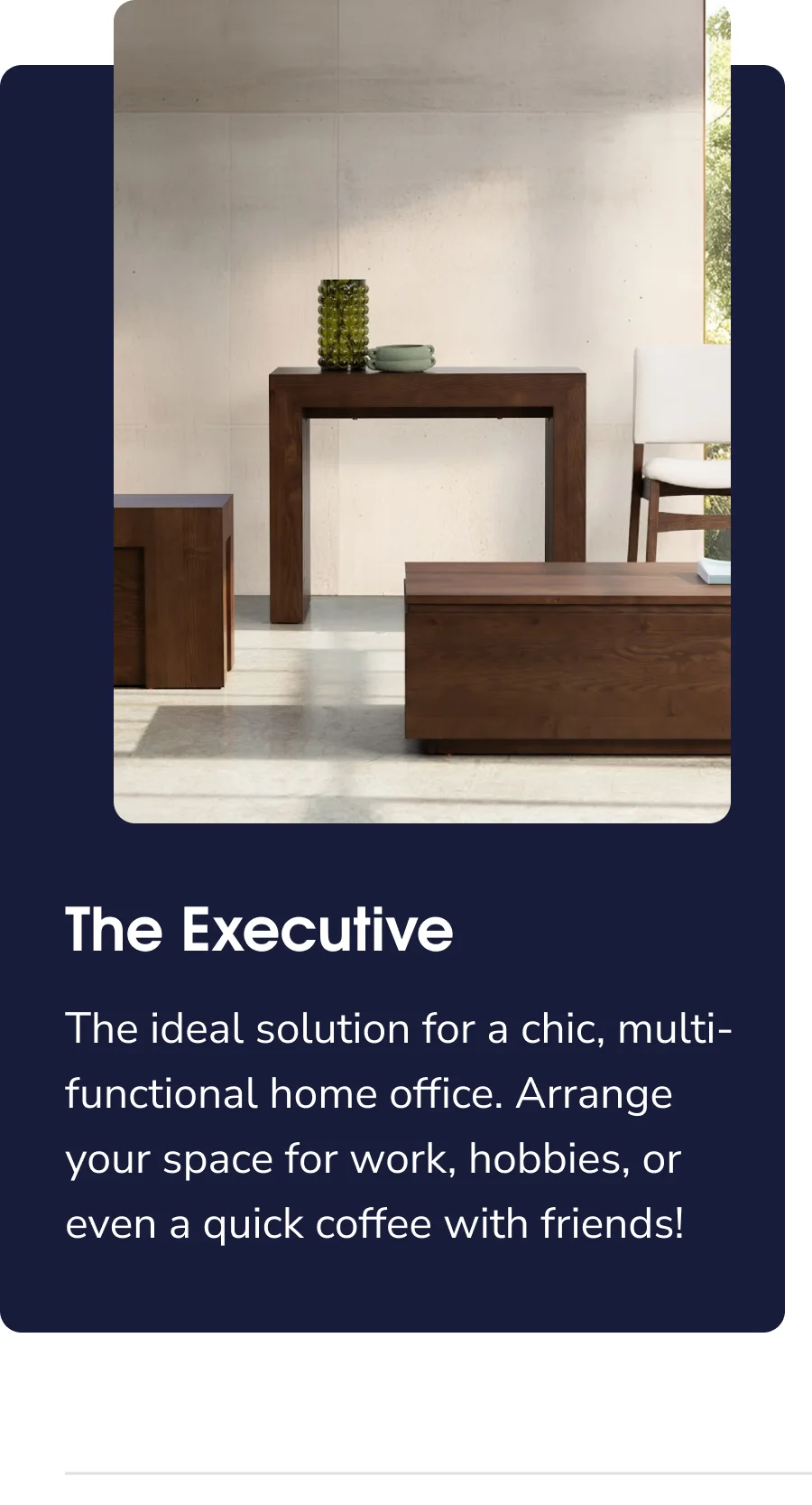 The Executive