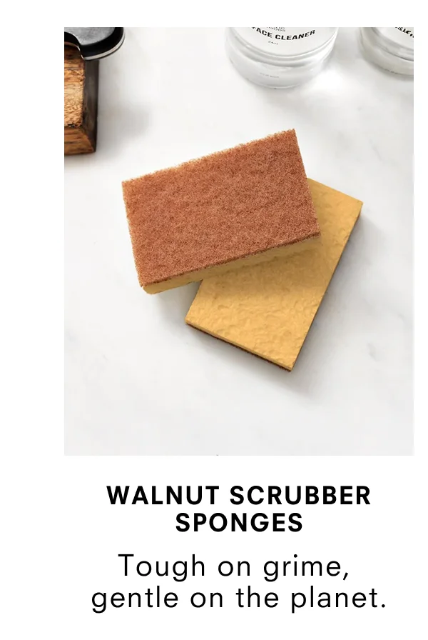 Walnut Scrubber Sponge