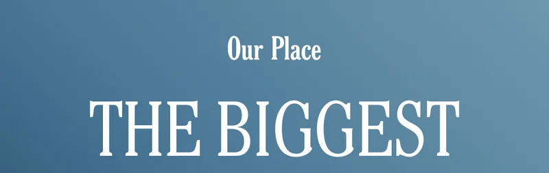 Our Place - The Biggest Sale of the Year - Lowest Prices of the Year