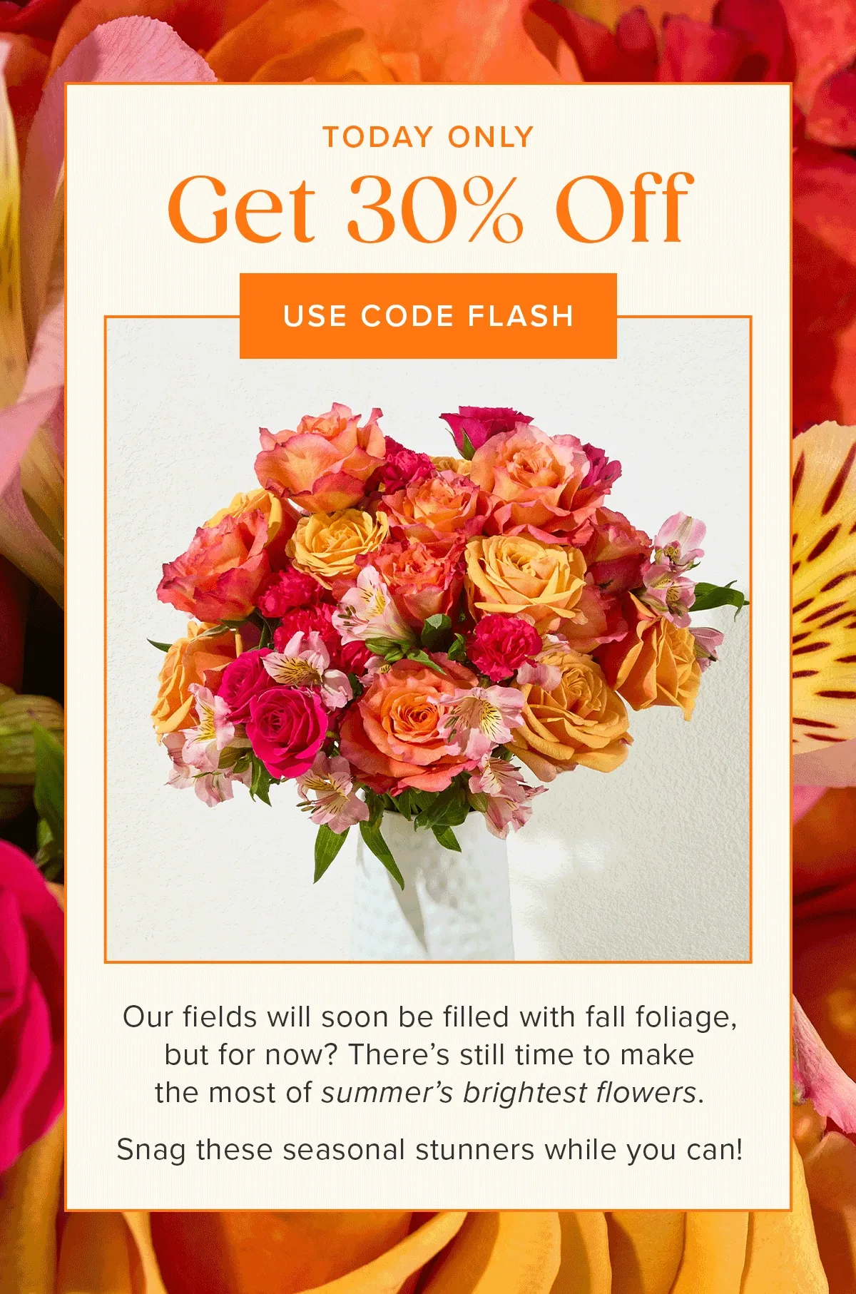 Today Only: Get 30% Off! Use code FLASH. Our fields will soon be filled with fall foliage, but for now? There's still time to make the most of summer's brightest flowers. Snag these seasonal stunners while you can!
