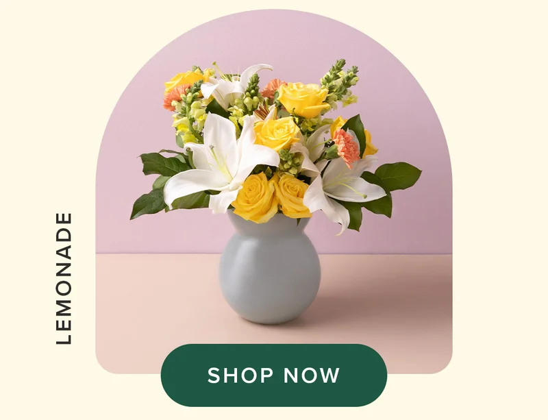 LEMONADE BOUQ - SHOP NOW