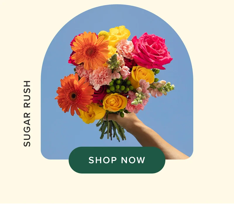 SUGAR RUSH BOUQ - SHOP NOW