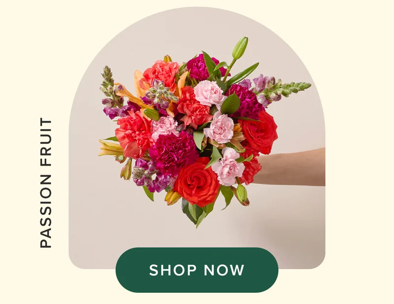 PASSION FRUIT BOUQ - SHOP NOW