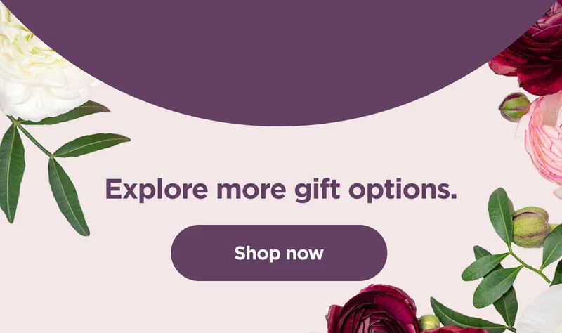 Explore more gift options.