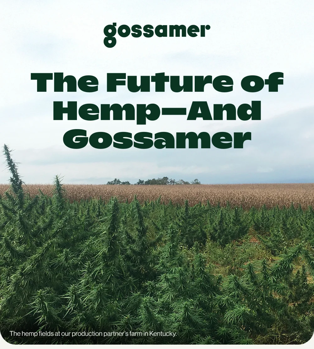 The Future of Hemp–And Gossamer (photo: our production partner's hemp fields in Kentucky)