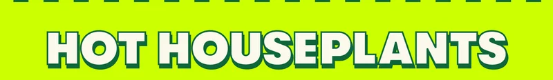 HOT HOUSEPLANTS