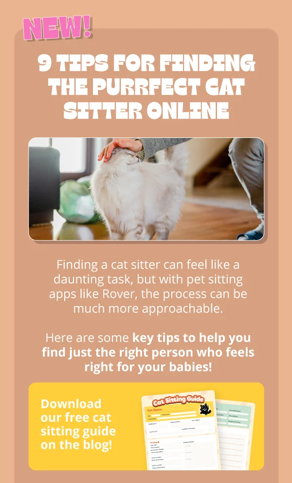 New on the Scratch Post Blog! 9 Tips for Finding the Purrfect Cat Sitter Online. Finding a cat sitter can feel like a daunting task, but with pet sitting apps&nbsp;like&nbsp;Rover, the process can be much more approachable. Here are some&nbsp;key tips to help you find just the right person who feels right for your babies!&nbsp;Download our free cat sitting guide on the blog (Image of the cat sitting guide PDF on the right)