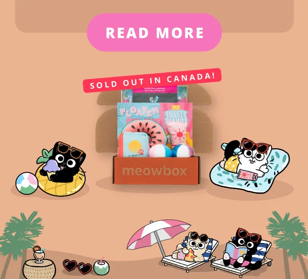 Read more! Image of the Sandy Beans Resort meowbox (featuring toys like the Floating Feline Catnip Toy, Toasty Tummies SPF30 Sunscreen Kicker, The Hottest Mew Read Vibrating Beach Book toys and more)